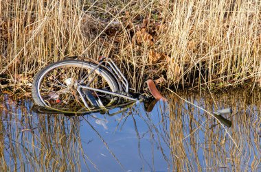 Disposed bicycle between the reeds at the edge of a pond in a park in The Hague, The Netherlands