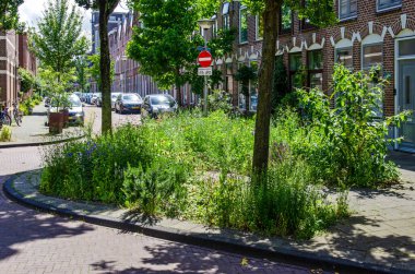 Leiden, Hollanda, 22 Haziran 2024: Tuğladan evler, ağaçlar ve bol bol yaz bitkileri olan mahalle sokağı