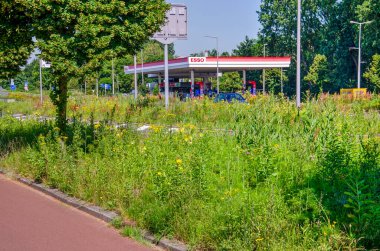 Rotterdam, Hollanda, 24 Haziran 2024: Blijdorp otoyol çıkışındaki otoyollar ve bisiklet yolları arasında bol bitki örtüsü