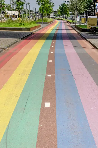 Utrecht, Hollanda, 2 Haziran 2024: Uithof Üniversitesi bölgesinde bisiklet yolu lgbt gökkuşağı bayrağına boyanmış
