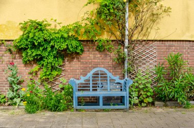 Rotterdam, Hollanda, 19 Haziran 2024, kaldırım ve cephe arasında küçük bir bahçe şeridinde büyüyen yeşil bitkiler.