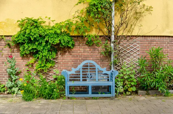 Rotterdam, Hollanda, 19 Haziran 2024, kaldırım ve cephe arasında küçük bir bahçe şeridinde büyüyen yeşil bitkiler.