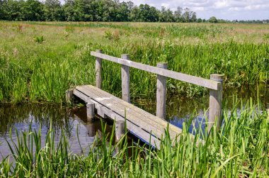 Driebruggen, Hollanda, 9 Haziran 2024: Polder 'da geniş bir hendek boyunca yürüyüş yapanlar için basit ahşap köprü