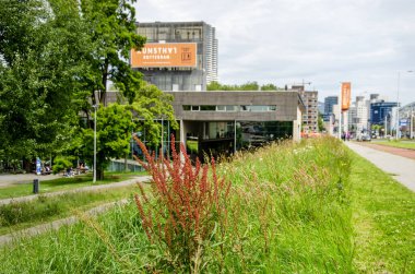 Rotterdam, Hollanda, 20 Haziran 2024: Kunsthal yakınlarındaki Westzeedijk 'te (Batı Deniz Dike) kuş ve diğer yabani bitkiler yetişiyor.