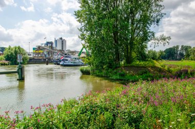 Rotterdam, Hollanda, 17 Temmuz 2024: Brienenoord Adası 'ndaki insül faaliyetlerinin yanında gelgit doğası