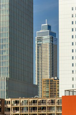 Rotterdam, The Netherlands, September 9, 2024: Zalmhaven tower, tallest building in the city, seen between various buildings on Wilhelmina Pier clipart