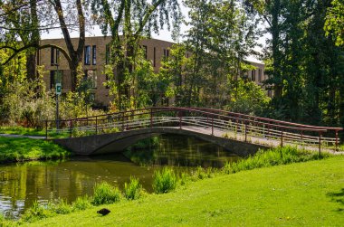 Hollanda 'nın Rotterdam kentindeki Zuiderpark' ta sonbaharda bir gölet üzerindeki yaya köprüsü.