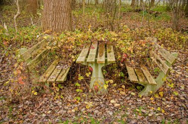 Old wooden benches and picknick table in a forest near Bergen op Zoom, The Netherlands, partly overgrown with vegetation in autumn clipart