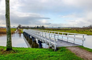 Lansingerland, The Netherlands, January 12, 2025: pedestrian bridge across a small lake in a landscape with natural fields as well as greenhouses clipart