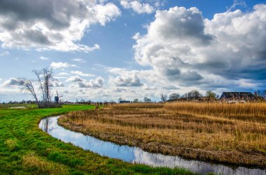 Hollanda, Hoornaar yakınlarındaki Polder arazisinde otlar, yürüyüş yolları, sazlıklar ve bir yel değirmeni var.