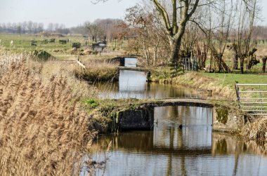 Hollanda, Goudriaan yakınlarındaki Polder manzarası geniş bir hendek boyunca uzanan eski köprüler