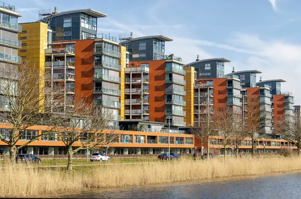 Barendrecht, Hollanda, 6 Mart 2025: Carnisselande Mahallesi 'nde sazlıklarla kaplı bir göle bakan renkli konut kuleleri