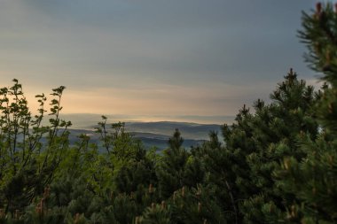 Babia Dağı 'na giden patikadan görüntüler
