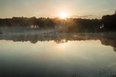 Orman göleti üzerinde güzel bir gün doğumu