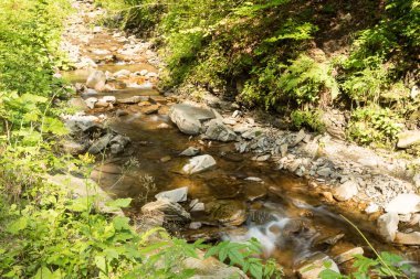 Ormandaki dağ deresi, Abowska yolu.