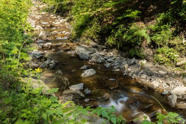 Ormandaki dağ deresi, Abowska yolu.