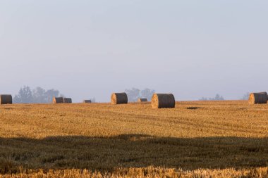 Sabaha karşı tarlalar ve samanlıklar sürülür.