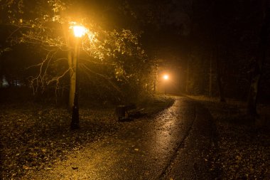 Pszczyna Şato Parkı Sonbahar gecesi