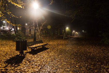 Pszczyna Şato Parkı Sonbahar gecesi