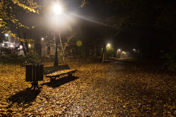 Pszczyna Şato Parkı Sonbahar gecesi