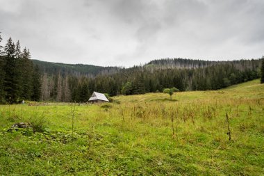 Olczyska Ormanı, Tatra Dağları