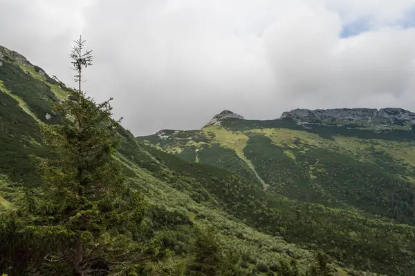 Giewont 'in güzel manzarası deniz seviyesinden 1895 metre yukarıda.