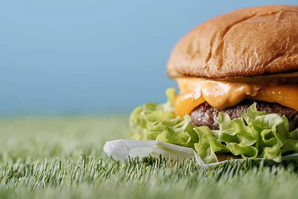 Delicious Burger Segar Buatan Sendiri — Stok Foto