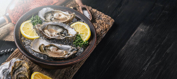 Fresh Oysters Lemon Ice White Wine Stock Photo