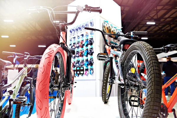 Bicycles in a sporting goods store
