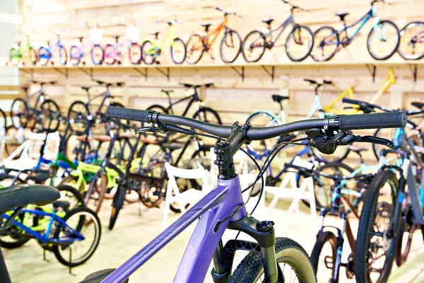 Bicycles in a sports shop