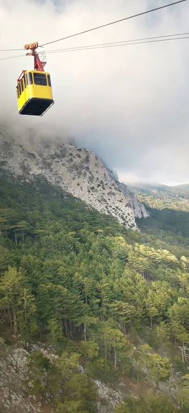 Mountain Landscape Trees Aerial Lift Screensaver Wallpaper Smartphone — Stock Photo, Image