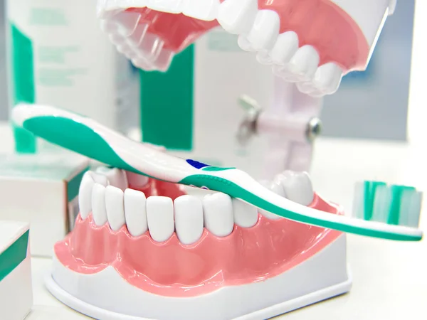 Δόντια Και Οδοντόβουρτσα Μακιγιάρισμα — Φωτογραφία Αρχείου