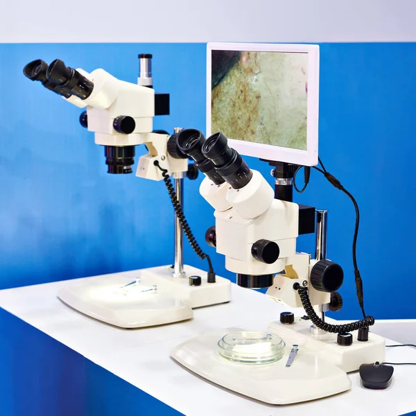 Eyepieces Polarization Stereo Microscopes Monitor — Stock Photo, Image