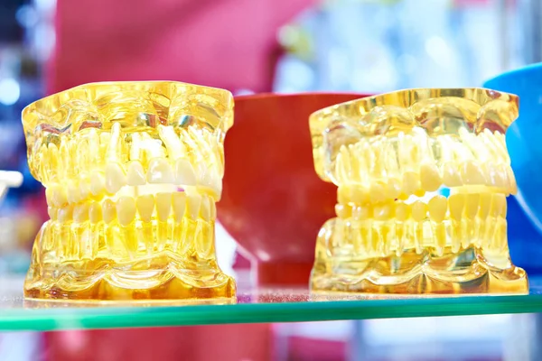 Molds, models teeth, jaws and bones of human head for dentistry