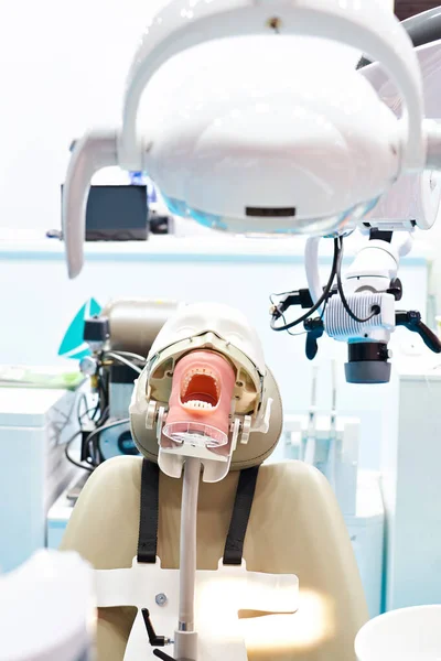 医師を訓練するための医療歯科ダミー — ストック写真