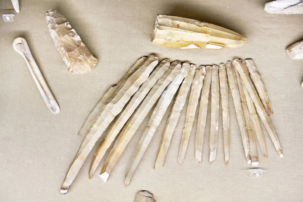 Ancient flint blades in museum