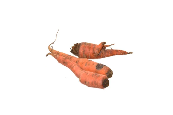 Zanahoria Aislada Sobre Fondo Blanco —  Fotos de Stock