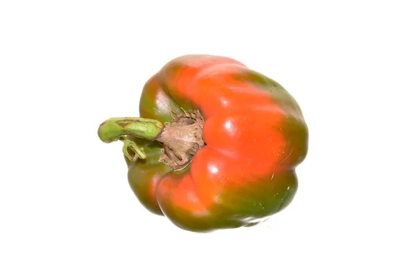 Paprika Isoliert Auf Weißem Hintergrund — Stockfoto