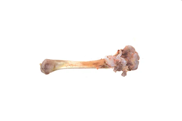 Tulang Ayam Diisolasi Pada Latar Belakang Putih Stok Foto