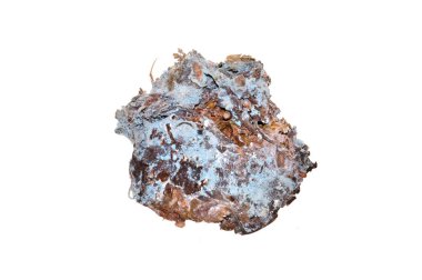 Beyaz arkaplanda izole edilmiş üzümlerdeki kalıplar