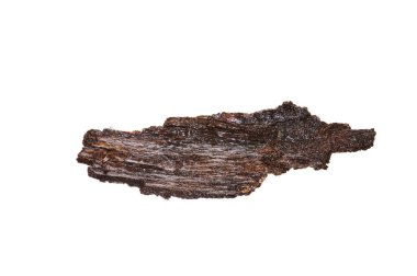 Beyaz arkaplanda ağaç kabuğu izole