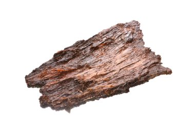 Beyaz arkaplanda ağaç kabuğu izole