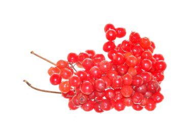 Beyaz arka plan üzerinde izole kartopu