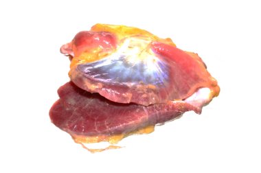 Beyaz arka planda izole edilmiş tavuk eti