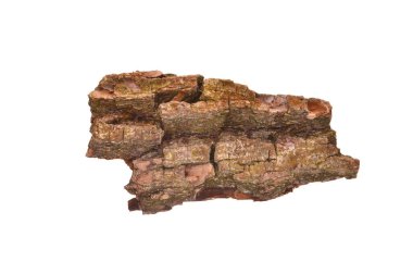 Beyaz arkaplanda ağaç kabuğu izole