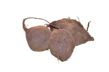 Pancar kökü beyaz arkaplanda izole edildi