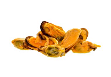 Beyaz arkaplanda yalıtılmış midyeler