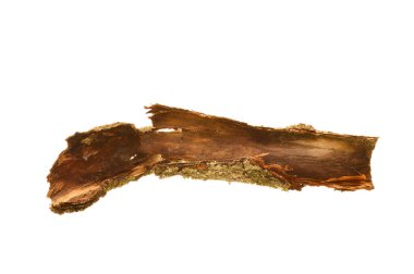 Beyaz arkaplanda ağaç kabuğu izole