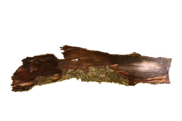 배경에 고립된 나무껍질 — 스톡 사진