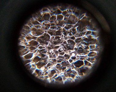 Yüksek büyültme ile köpük kauçuk atış - yakın çekim